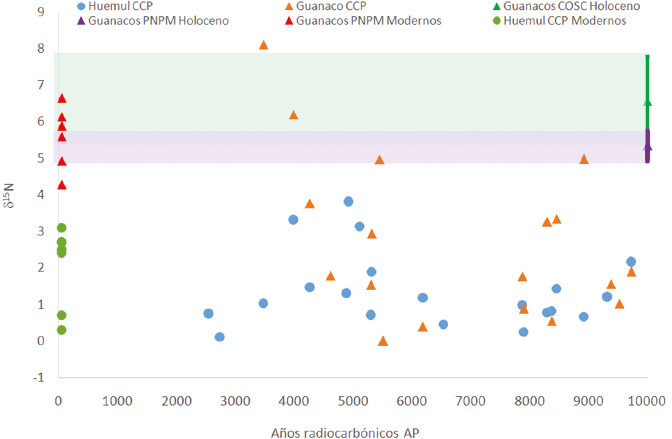 Comparación entre huemules y guanacos de CCP y los guanacos de PNPM y COSC. Estos últimos están representados por una media y un desvío estándar (sombreado violeta para PNPM y verde para COSC). La comparación sugiere cambios a lo largo del tiempo en la dieta de los guanacos de CCP.