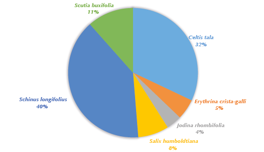 Conjunto antracológico del sitio Los Tres Ombúes. Gráfico de torta que señala los porcentajes de los taxones identificados en el sitio Los Tres Ombúes.