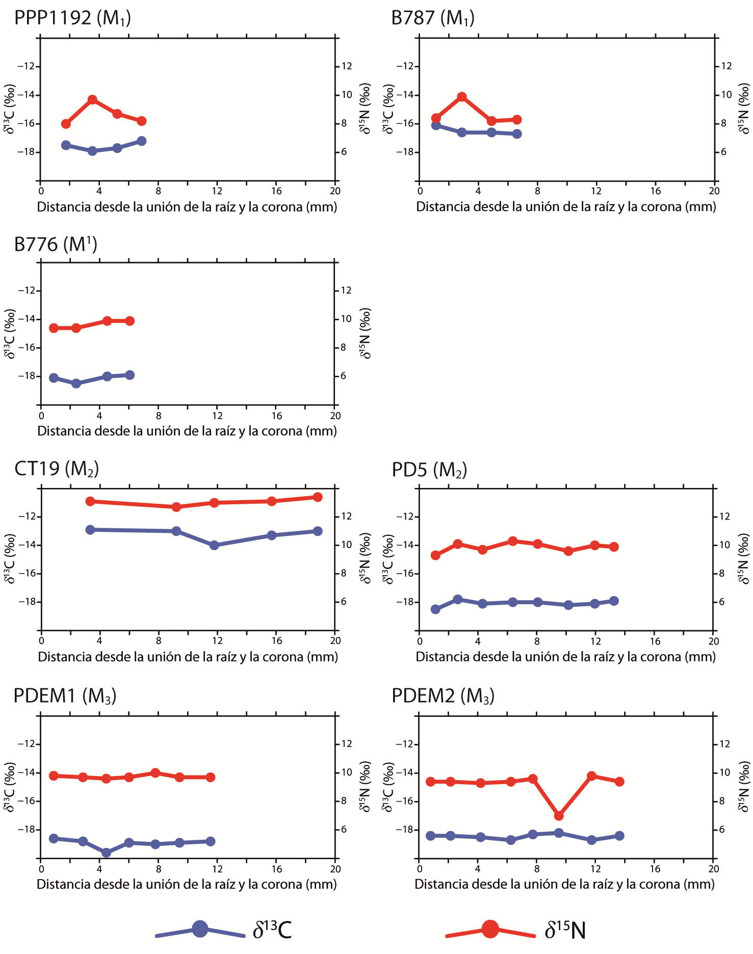 Resultados de la medición de las composiciones isotópicas del carbono y el nitrógeno de muestras de dentina tomadas de forma secuencial de las coronas de molares correspondientes a la especie Lama glama.