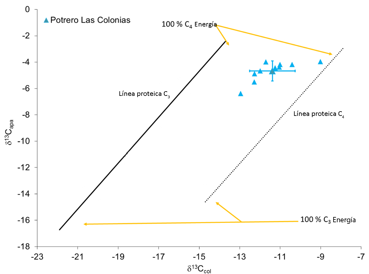 Estimación de los aportes C3 versus C4 en las dietas humanas de OPLC mediante la aplicación del modelo de Froehle et al. (2012) basado en análisis de cluster y funciones discriminantes.