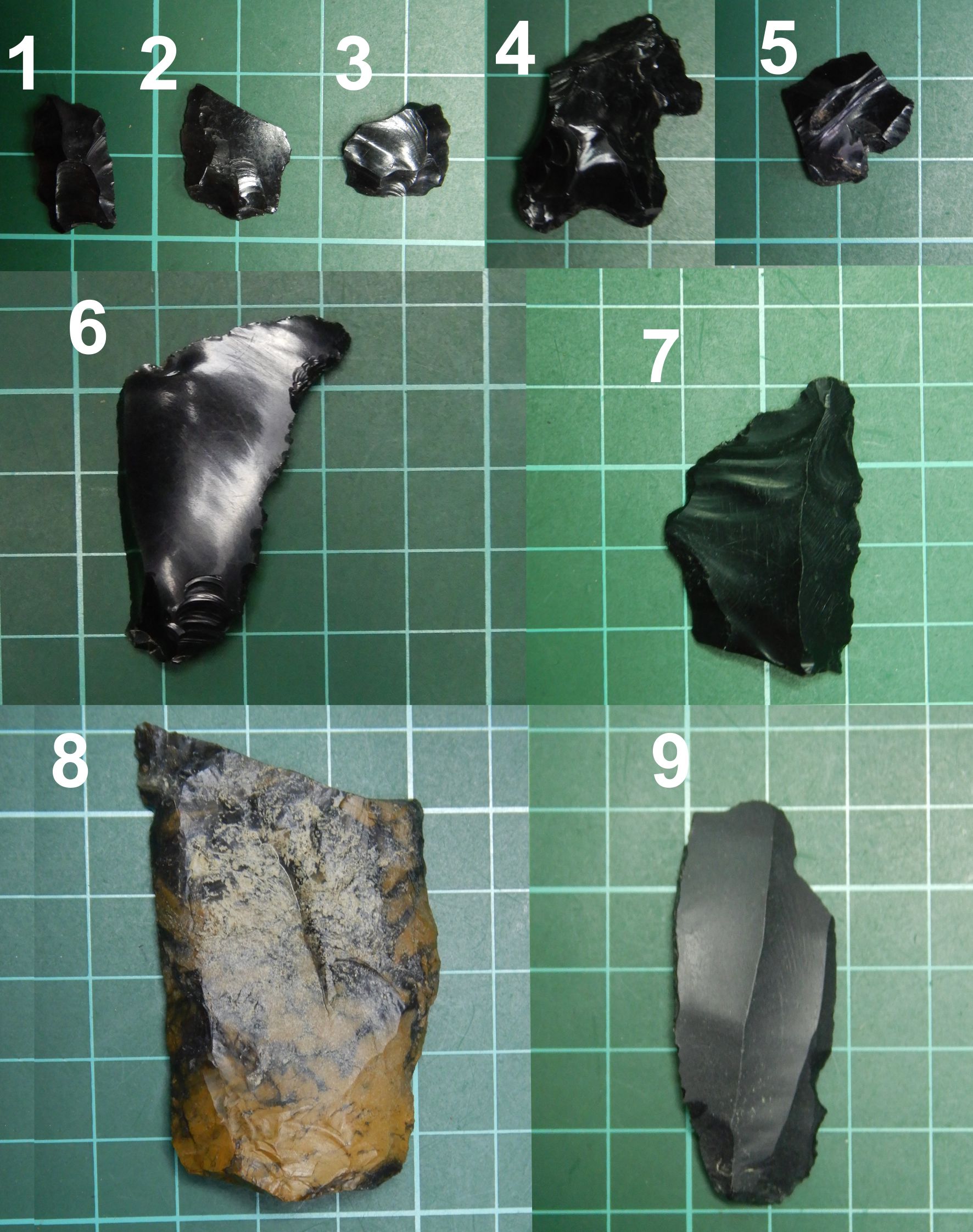 Desechos de talla (1, 2, 3 y 5) y punta de proyectil fragmentada (4) de obsidiana negra recuperados en el curso superior del cañadón El Lechuza. Desechos de talla de obsidiana negra (6, 7 y 9) y sílice (8) del curso inferior del cañadón El Lechuza. El número 9 es una hoja con una intensa abrasión. La roca silícea es similar macroscópicamente a las materias primas presentes en el sur del MD.